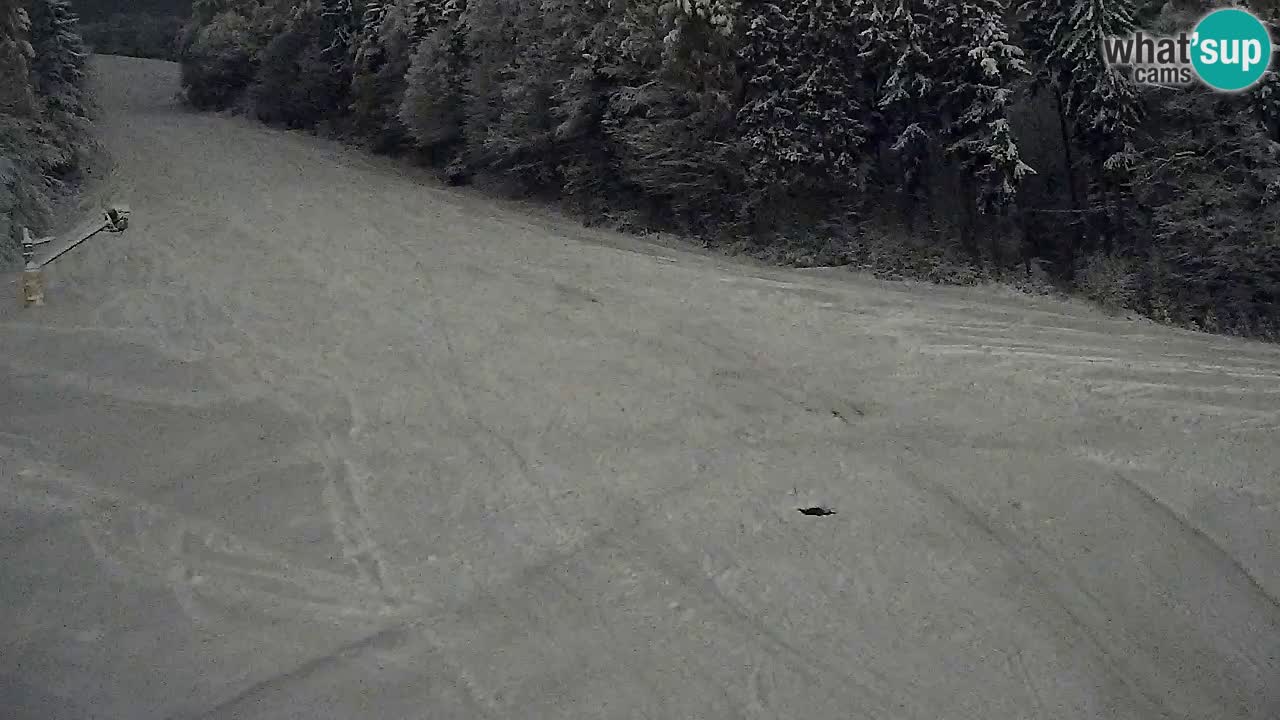 Spletna Kamera Pohorje Trikotna Jasa | Poštela