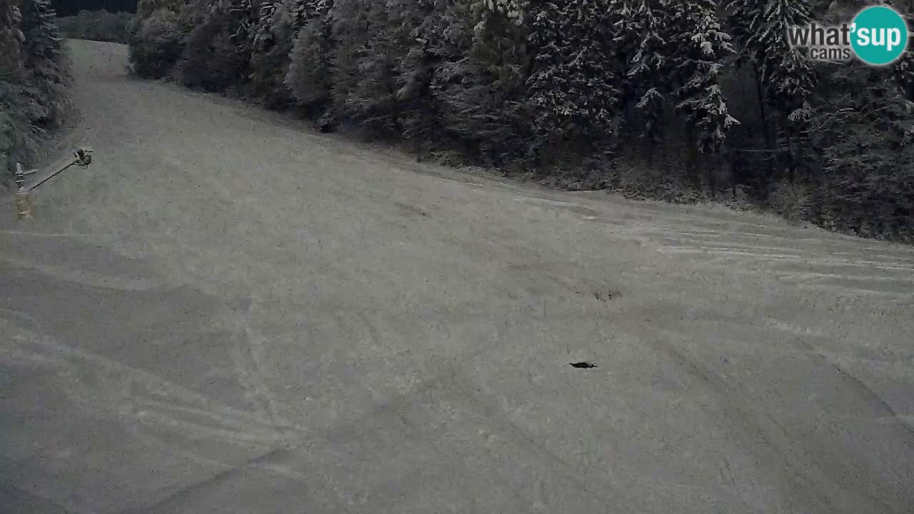 Spletna Kamera Pohorje Trikotna Jasa | Poštela