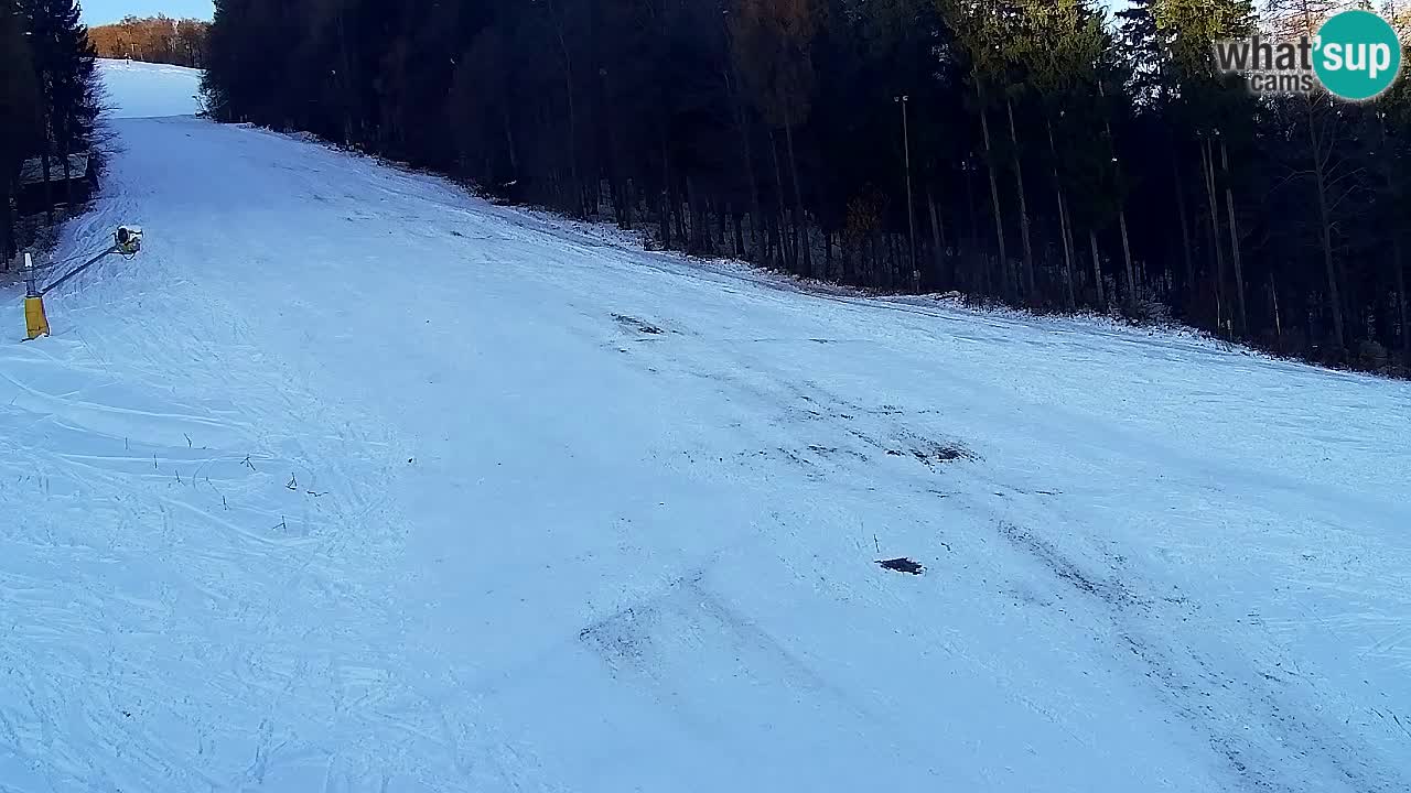 Webcam Pohorje Trikotna Jasa | Poštela