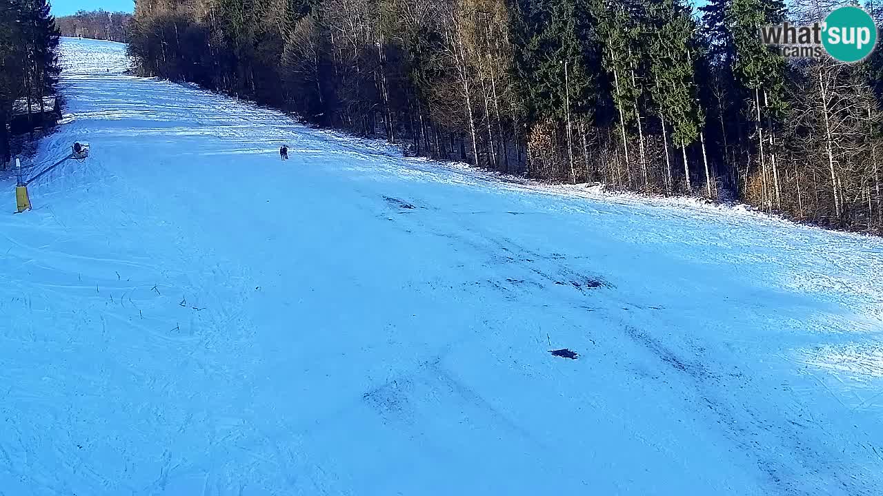 Webcam Pohorje Trikotna Jasa | Poštela