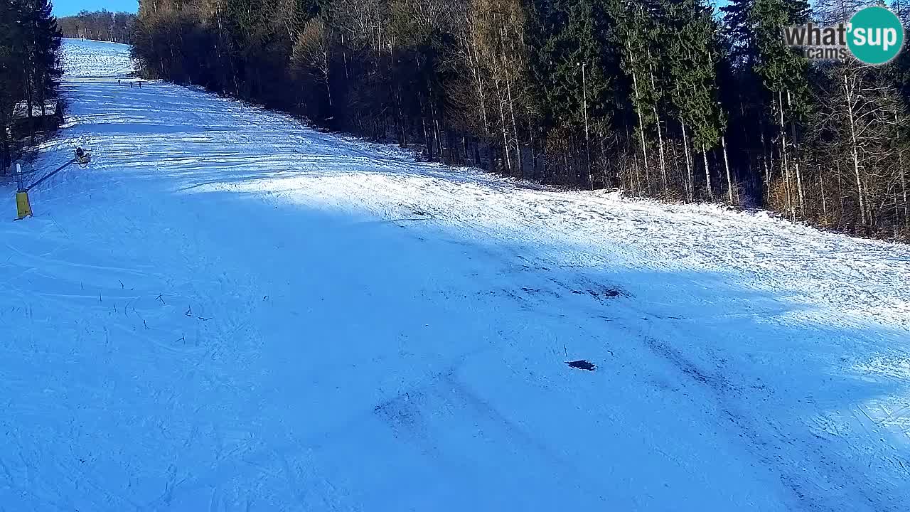 Webcam Pohorje Trikotna Jasa | Poštela