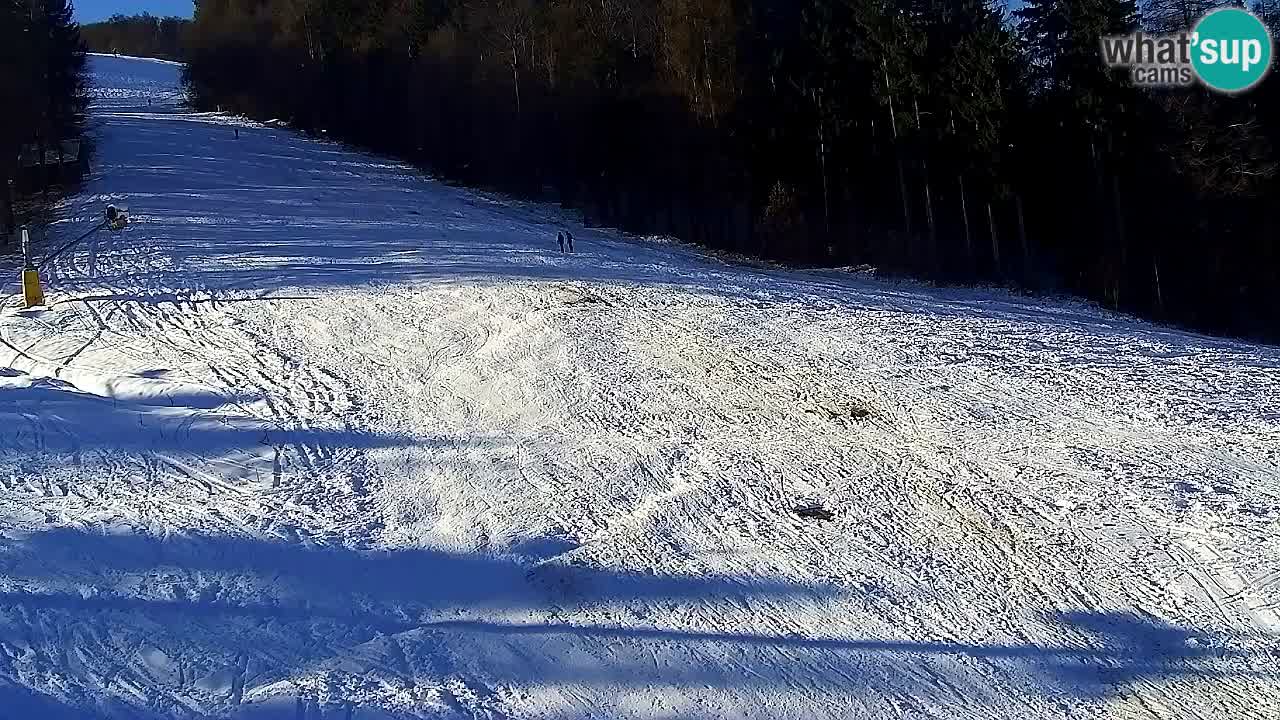 Webcam Pohorje Trikotna Jasa | Poštela