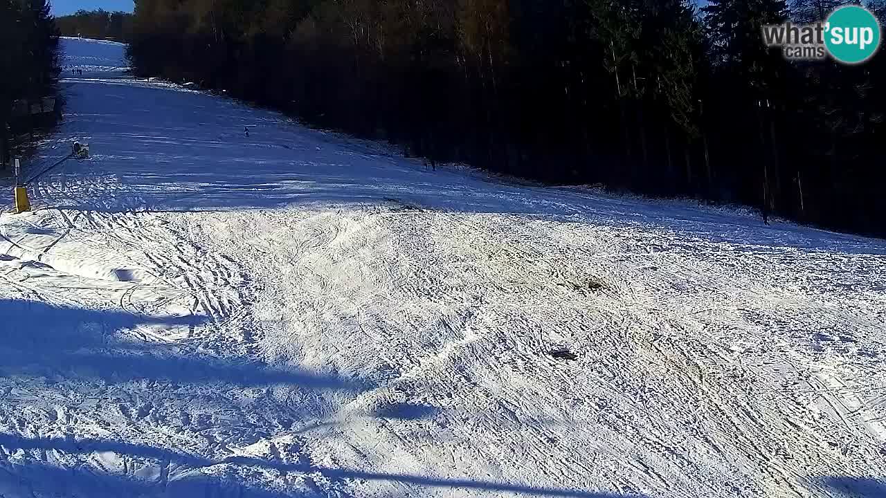 Webcam Pohorje Trikotna Jasa | Poštela