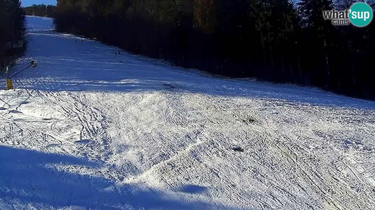 Webcam Pohorje Trikotna Jasa | Poštela