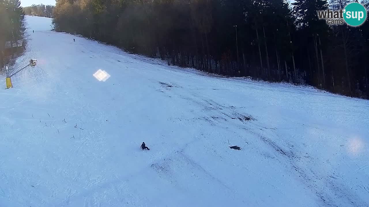 Webcam Pohorje Trikotna Jasa | Poštela