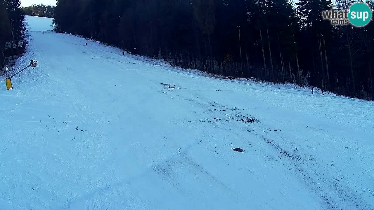 Web kamera Pohorje Trikotna Jasa | Poštela