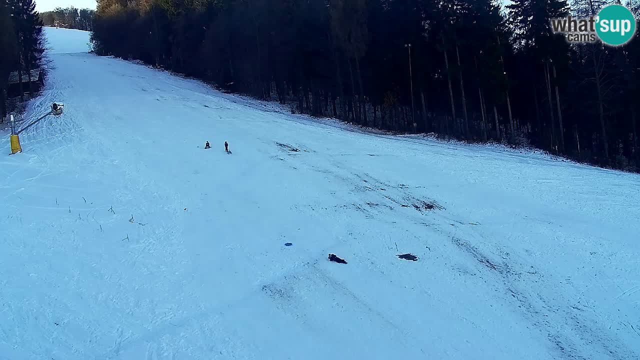 Webcam Pohorje Trikotna Jasa | Poštela