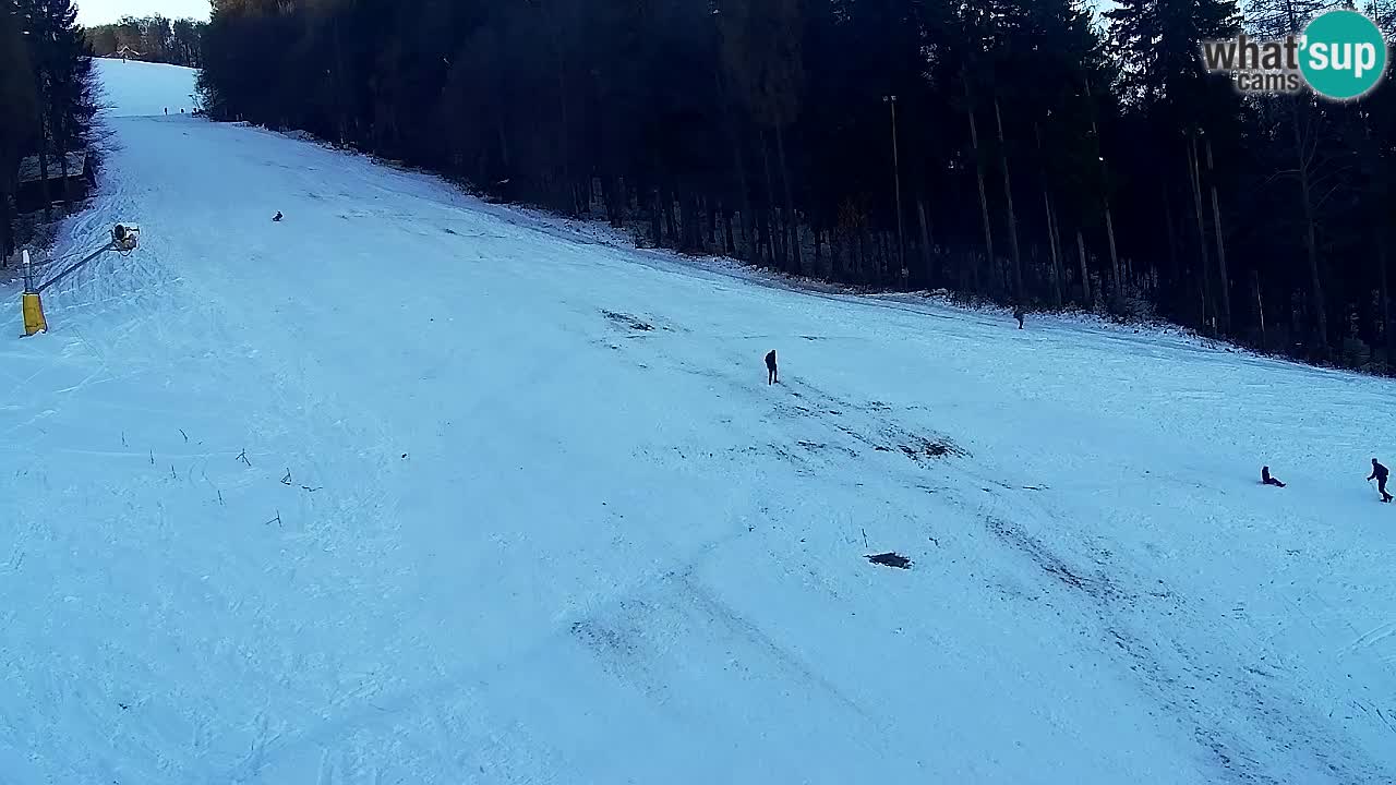 Webcam Pohorje Trikotna Jasa | Poštela