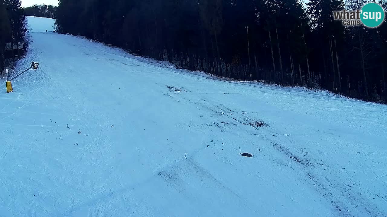 Webcam Pohorje Trikotna Jasa | Poštela