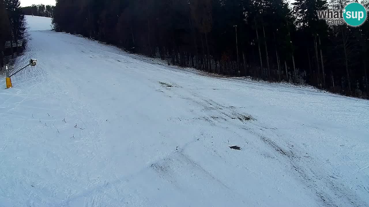 Web kamera Pohorje Trikotna Jasa | Poštela