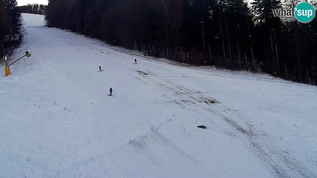 Webcam Pohorje Trikotna Jasa | Poštela