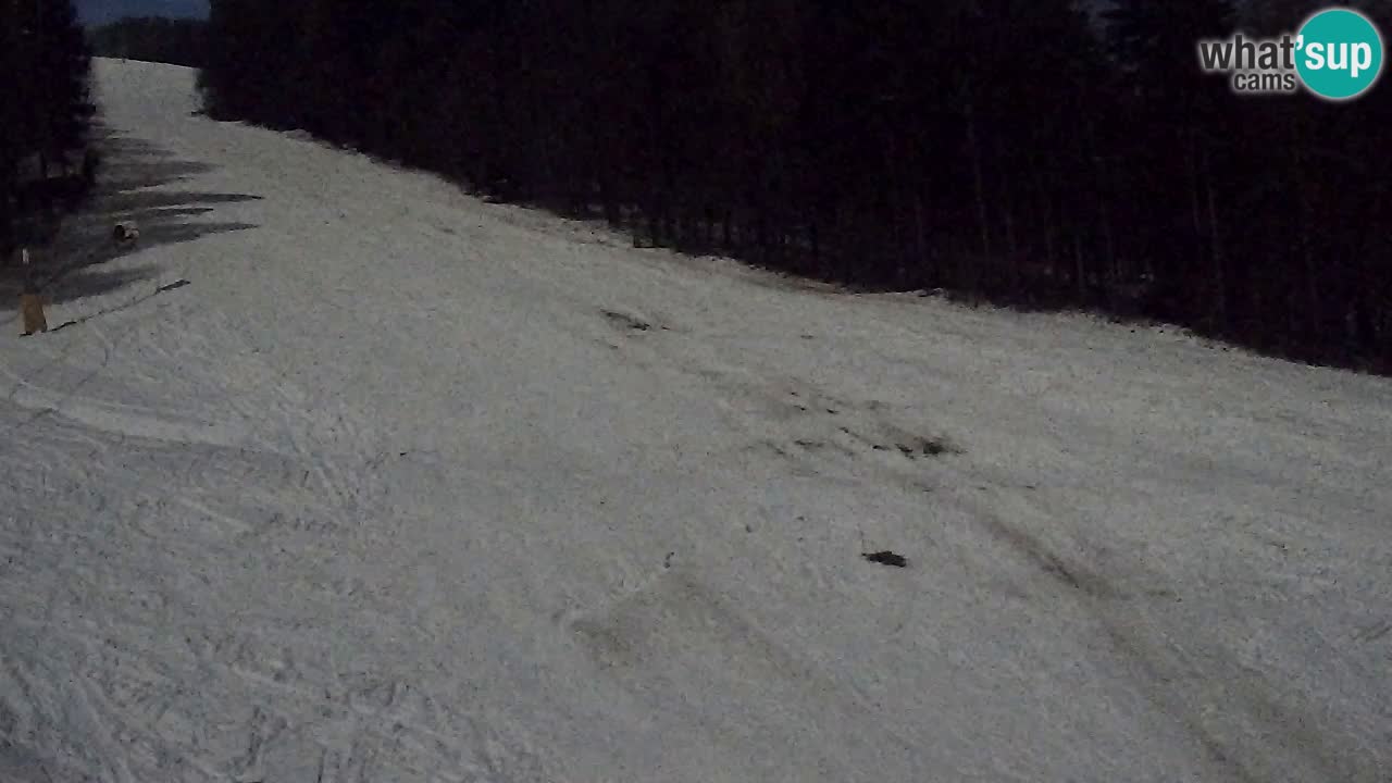 Webcam Pohorje Trikotna Jasa | Poštela