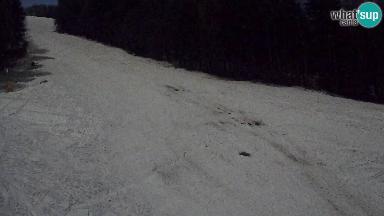 Webcam Pohorje Trikotna Jasa | Poštela