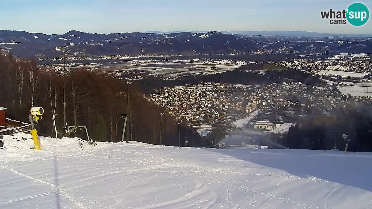 Webcam Pohorje Trikotna Jasa | Poštela