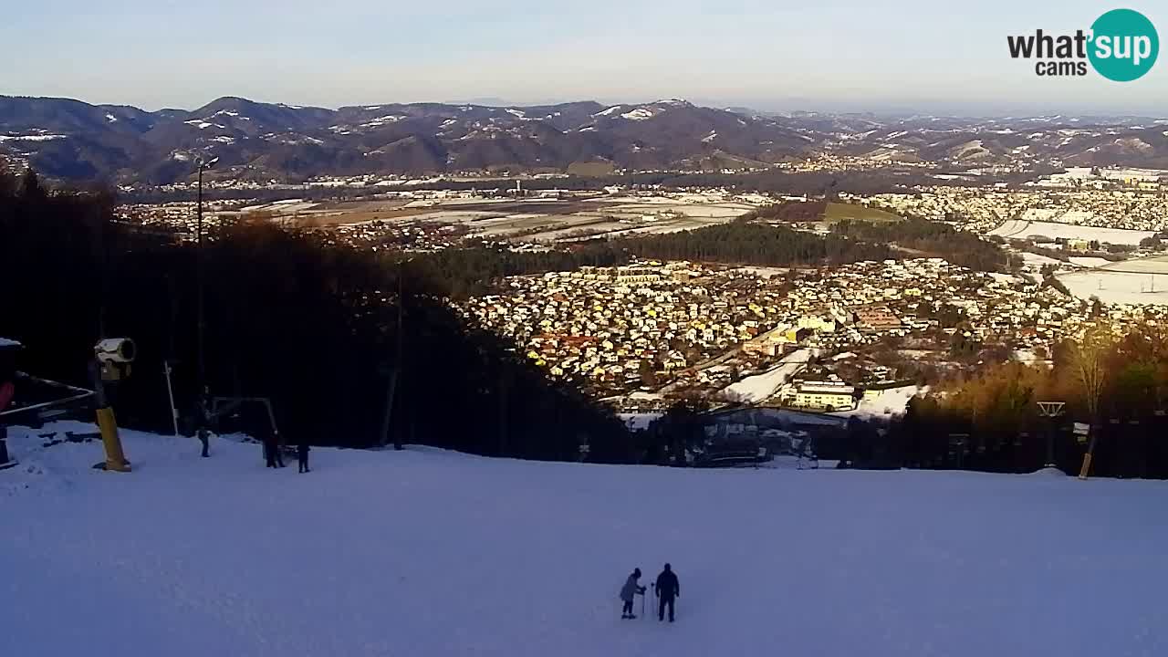 Webcam Pohorje Trikotna Jasa | Poštela