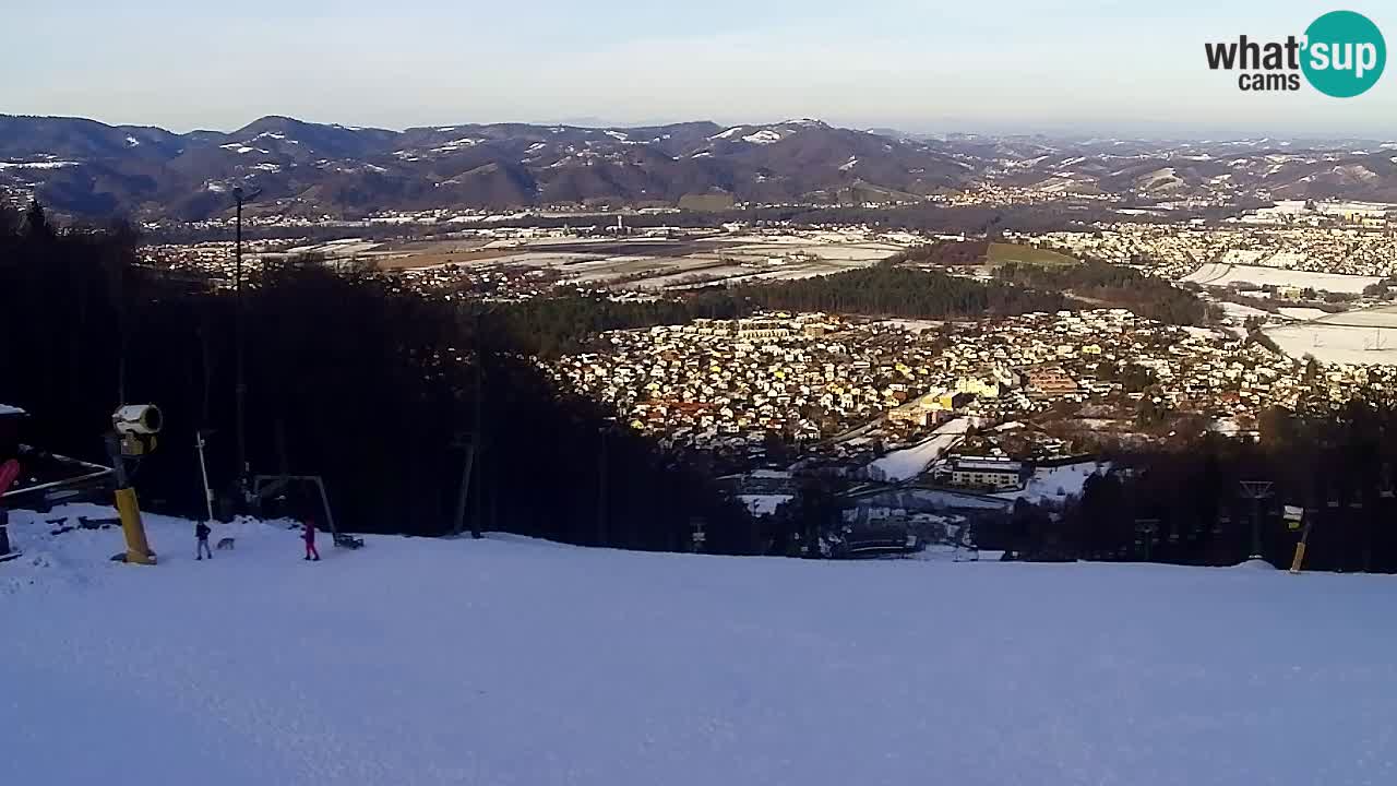 Webcam Pohorje Trikotna Jasa | Poštela