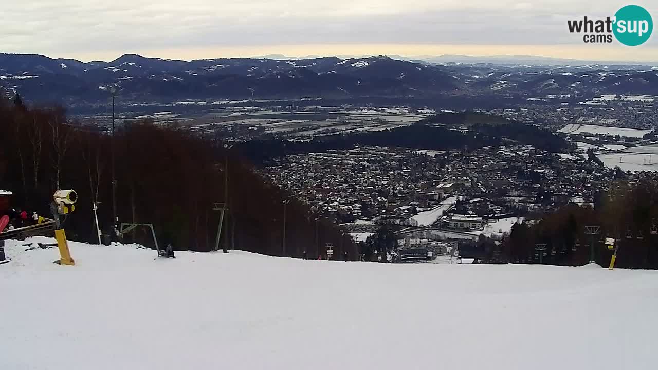 Webcam Pohorje Trikotna Jasa | Poštela