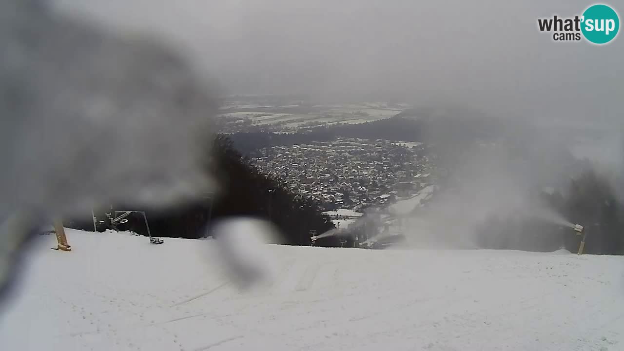 Web Camera Pohorje Trikotna Jasa | Poštela