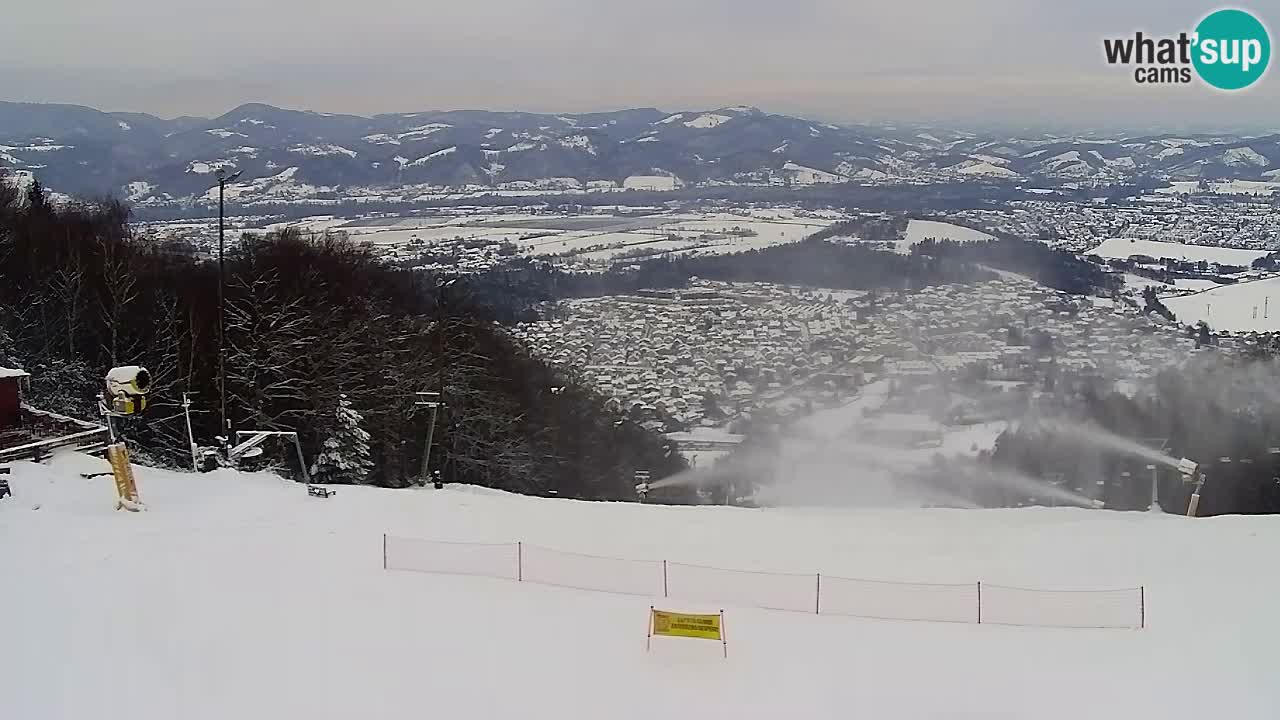 Webcam Pohorje Trikotna Jasa | Poštela