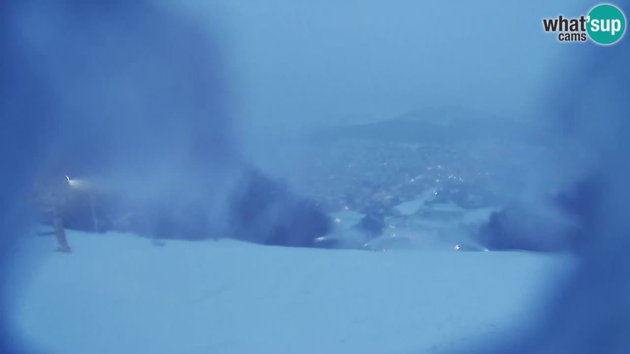 Web Camera Pohorje Trikotna Jasa | Poštela