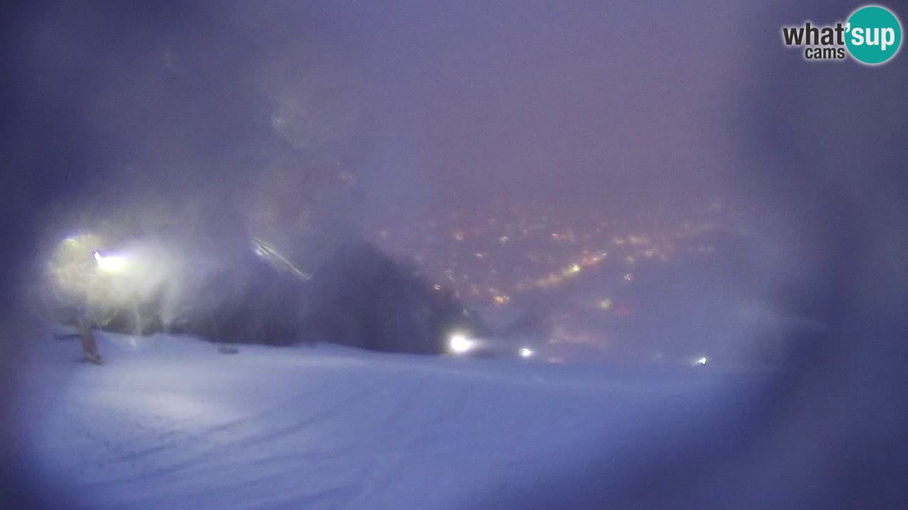 Webcam Pohorje Trikotna Jasa | Poštela