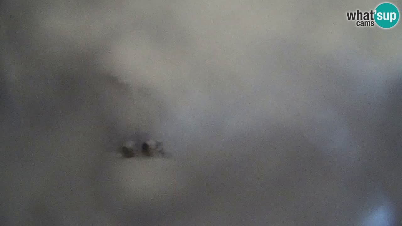 Spletna Kamera Pohorje Trikotna Jasa | Poštela