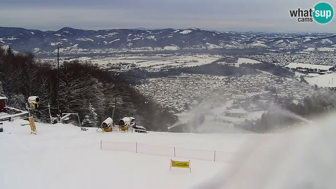 Webcam Pohorje Trikotna Jasa | Poštela