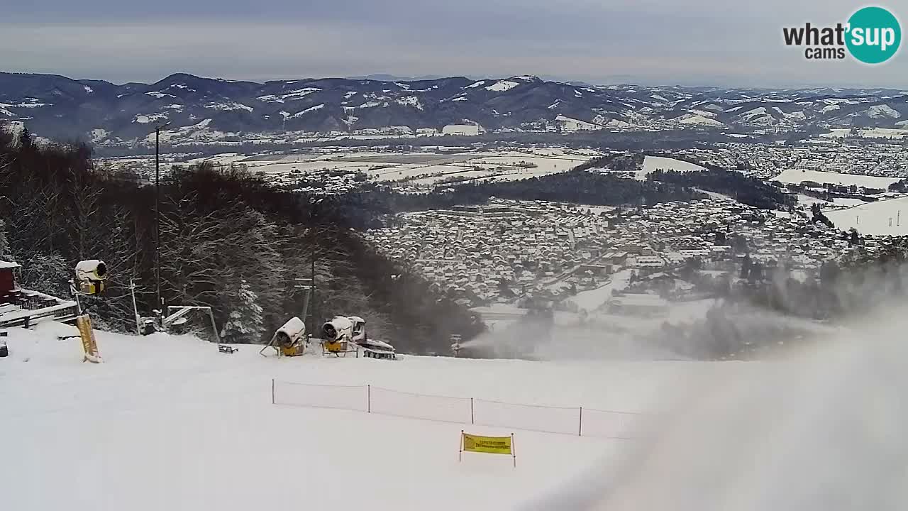 Webcam Pohorje Trikotna Jasa | Poštela