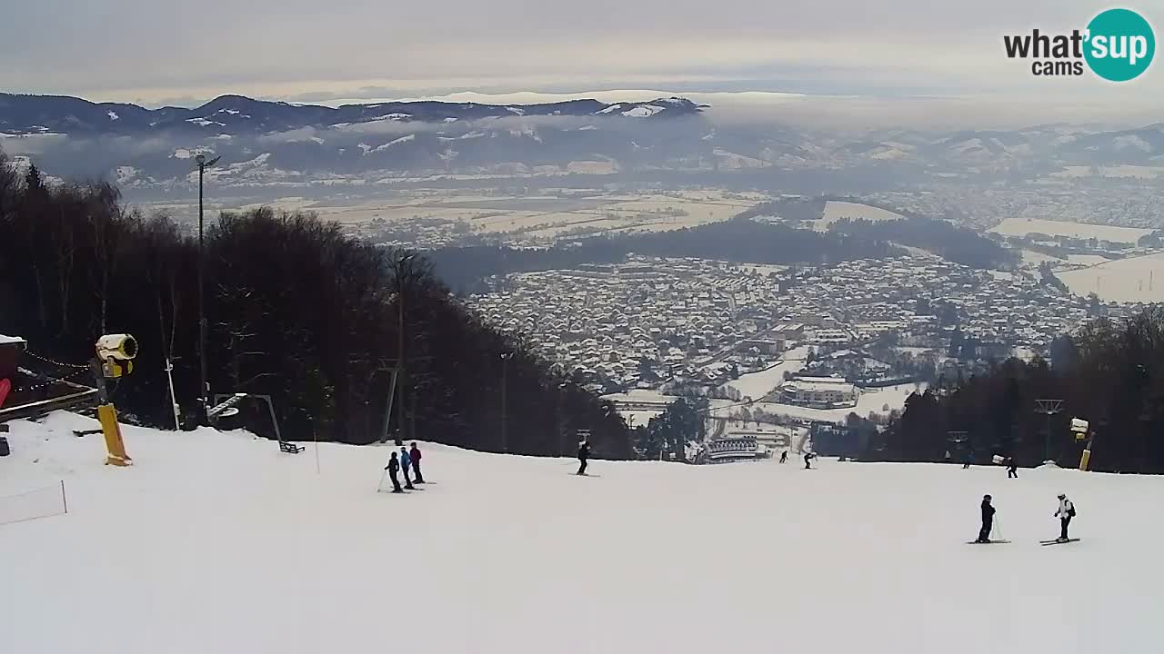 Webcam Pohorje Trikotna Jasa | Poštela