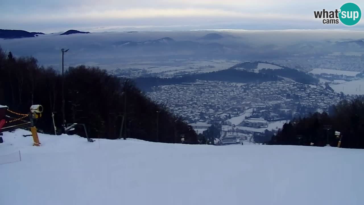Webcam Pohorje Trikotna Jasa | Poštela