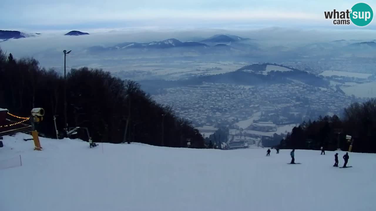 Webcam Pohorje Trikotna Jasa | Poštela