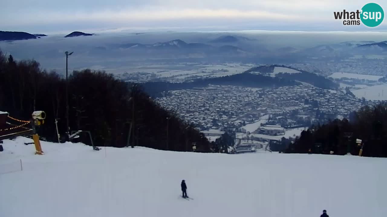 Web Camera Pohorje Trikotna Jasa | Poštela