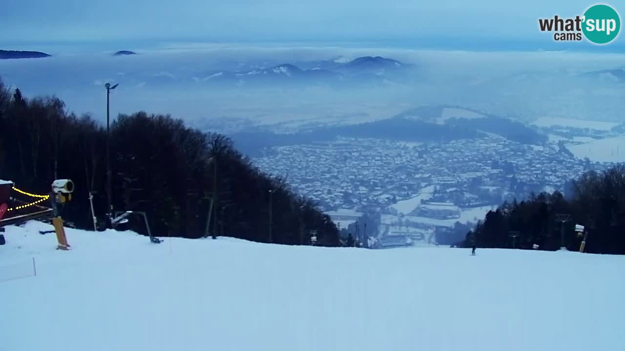 Webcam Pohorje Trikotna Jasa | Poštela