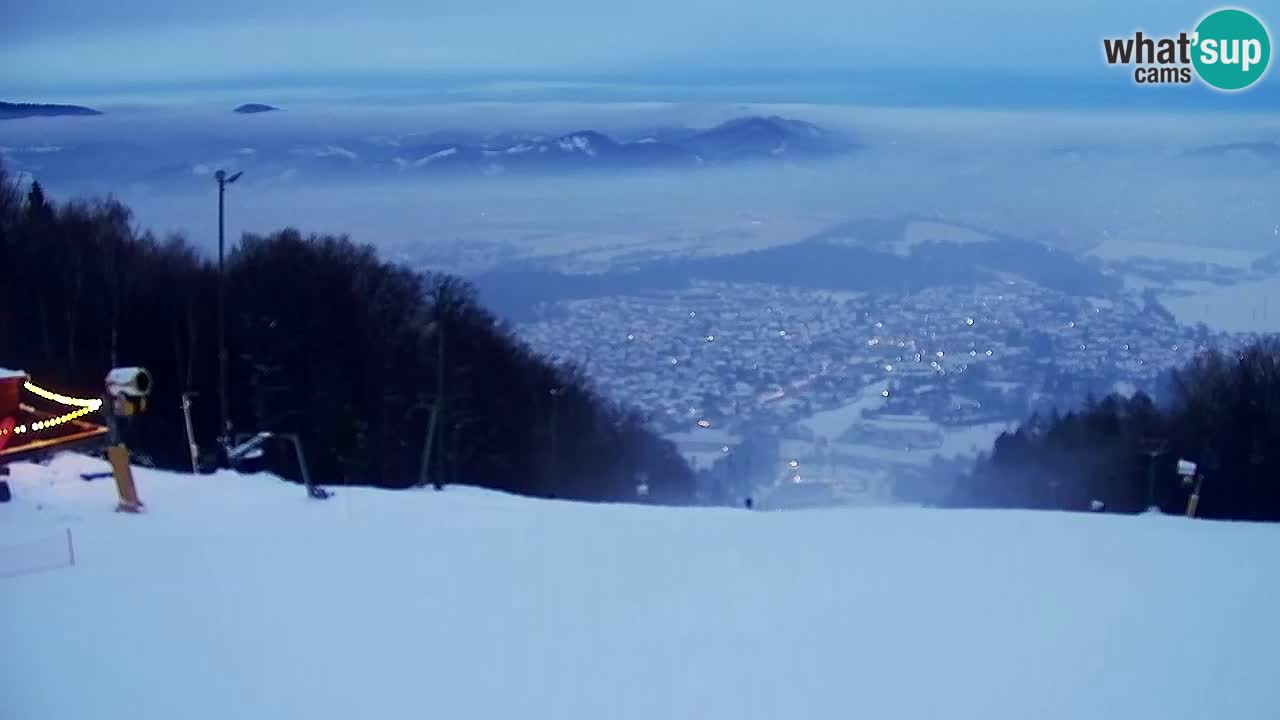 Web Camera Pohorje Trikotna Jasa | Poštela