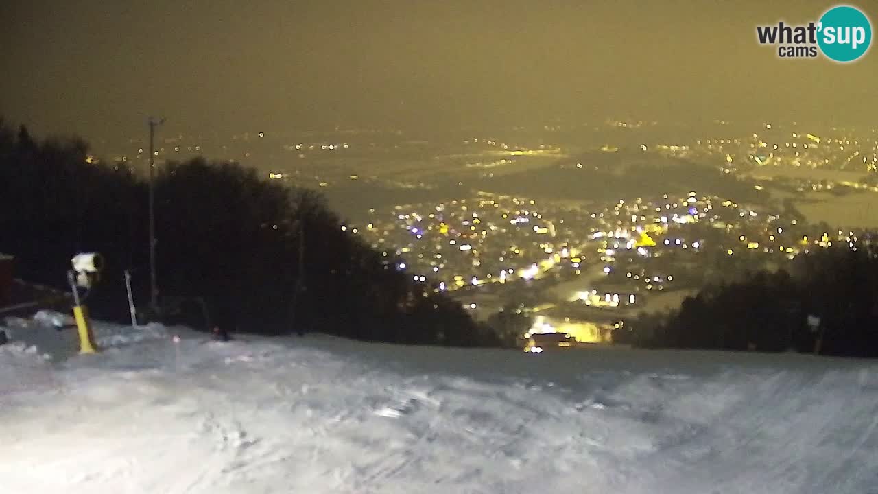 Webcam Pohorje Trikotna Jasa | Poštela