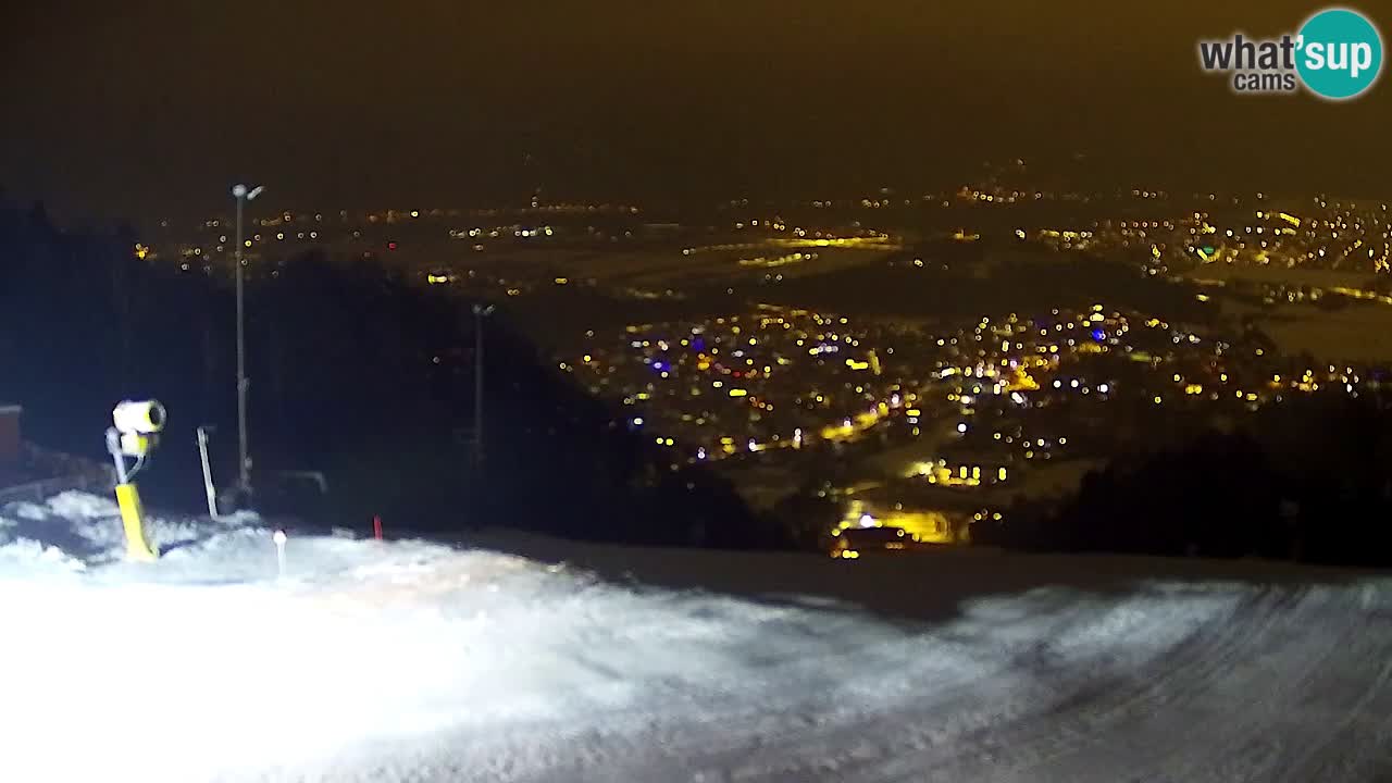 Webcam Pohorje Trikotna Jasa | Poštela