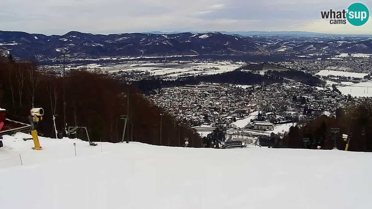 Web Camera Pohorje Trikotna Jasa | Poštela