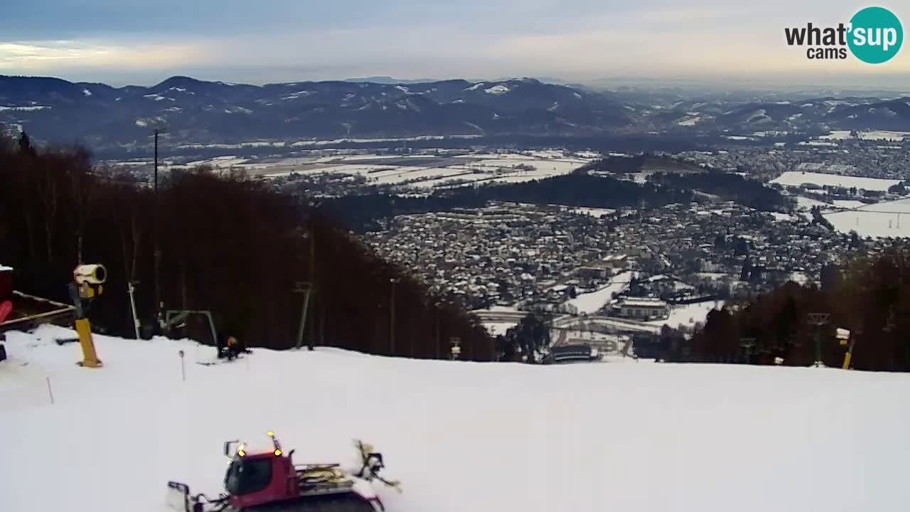 Webcam Pohorje Trikotna Jasa | Poštela