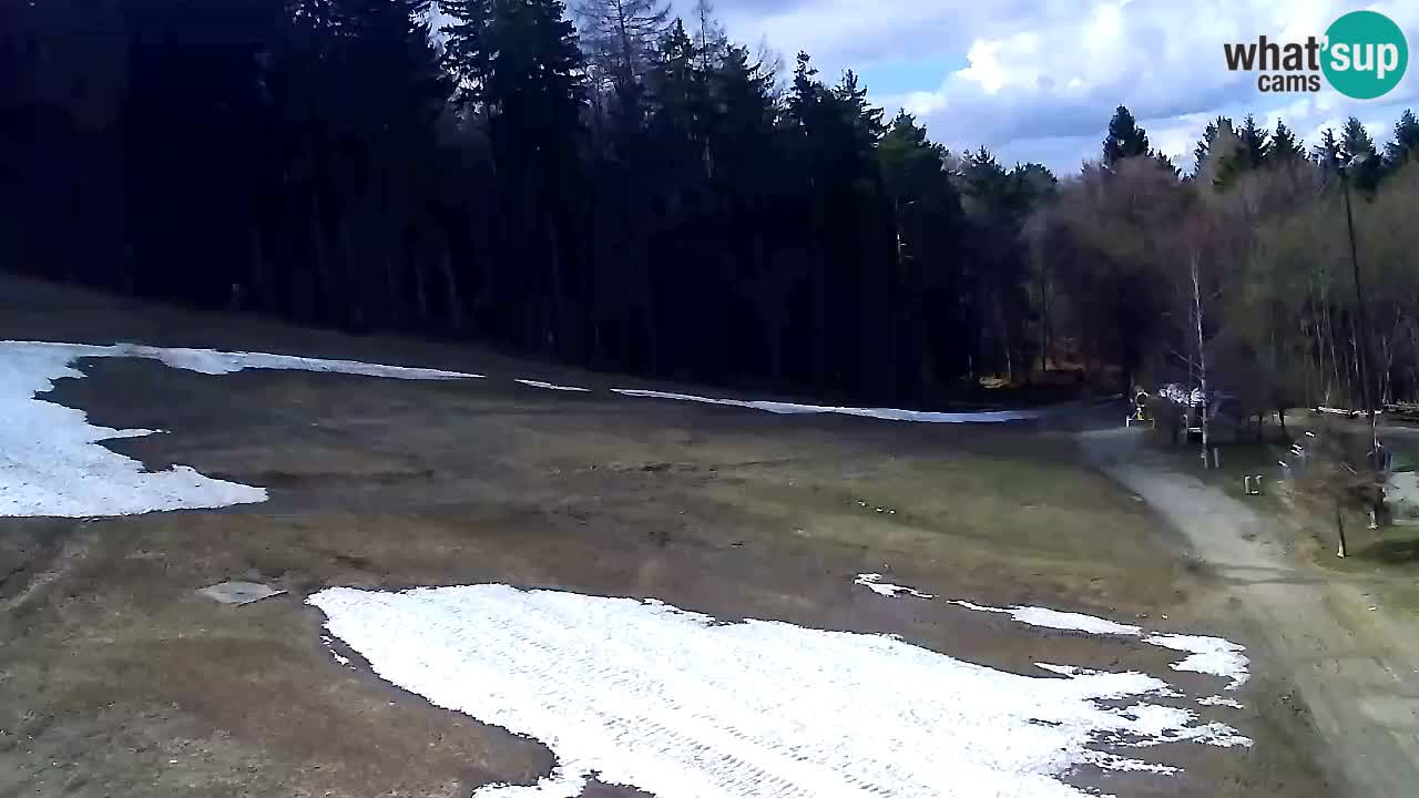 Webcam Pohorje Trikotna Jasa | Poštela