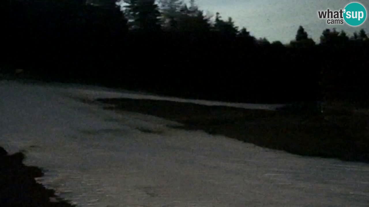 Webcam Pohorje Trikotna Jasa | Poštela