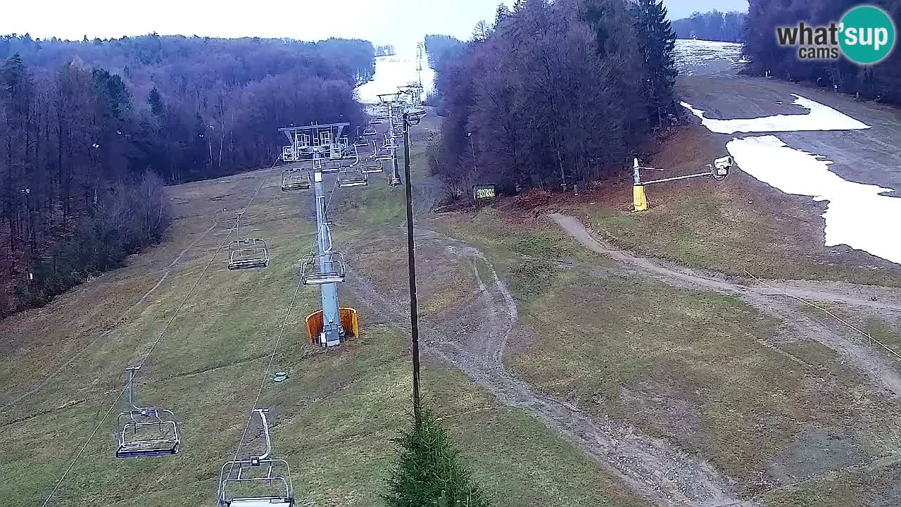 Webcam Pohorje Trikotna Jasa | Poštela