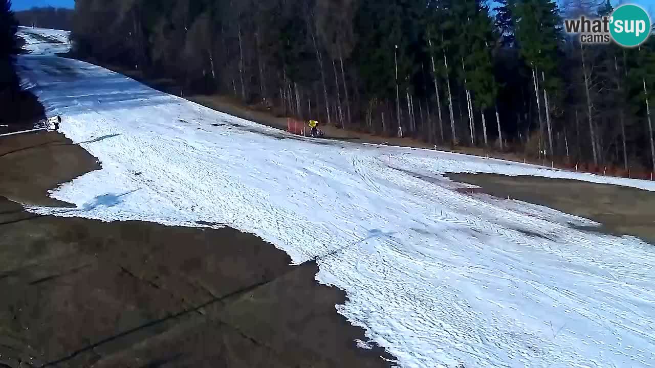 Webcam Pohorje Trikotna Jasa | Poštela