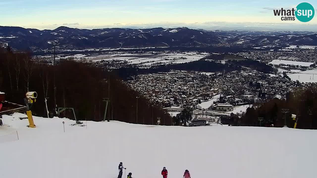 Webcam Pohorje Trikotna Jasa | Poštela