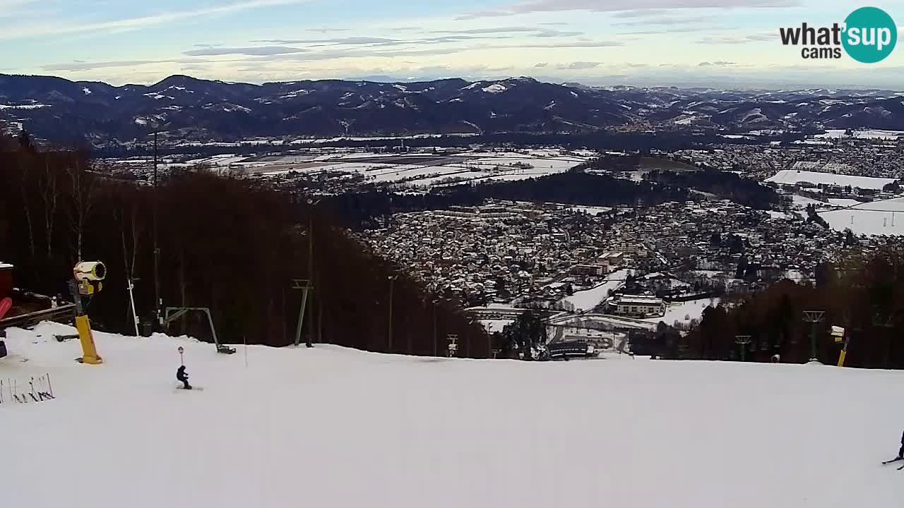 Webcam Pohorje Trikotna Jasa | Poštela