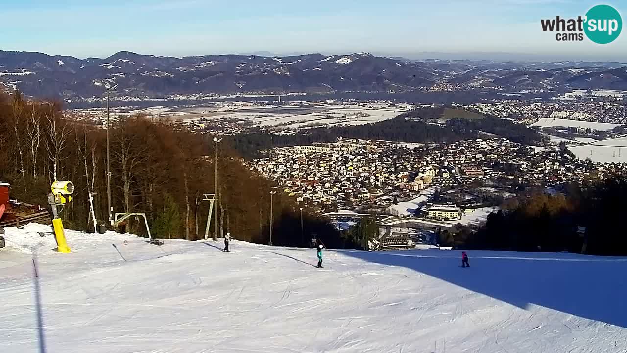 Webcam Pohorje Trikotna Jasa | Poštela
