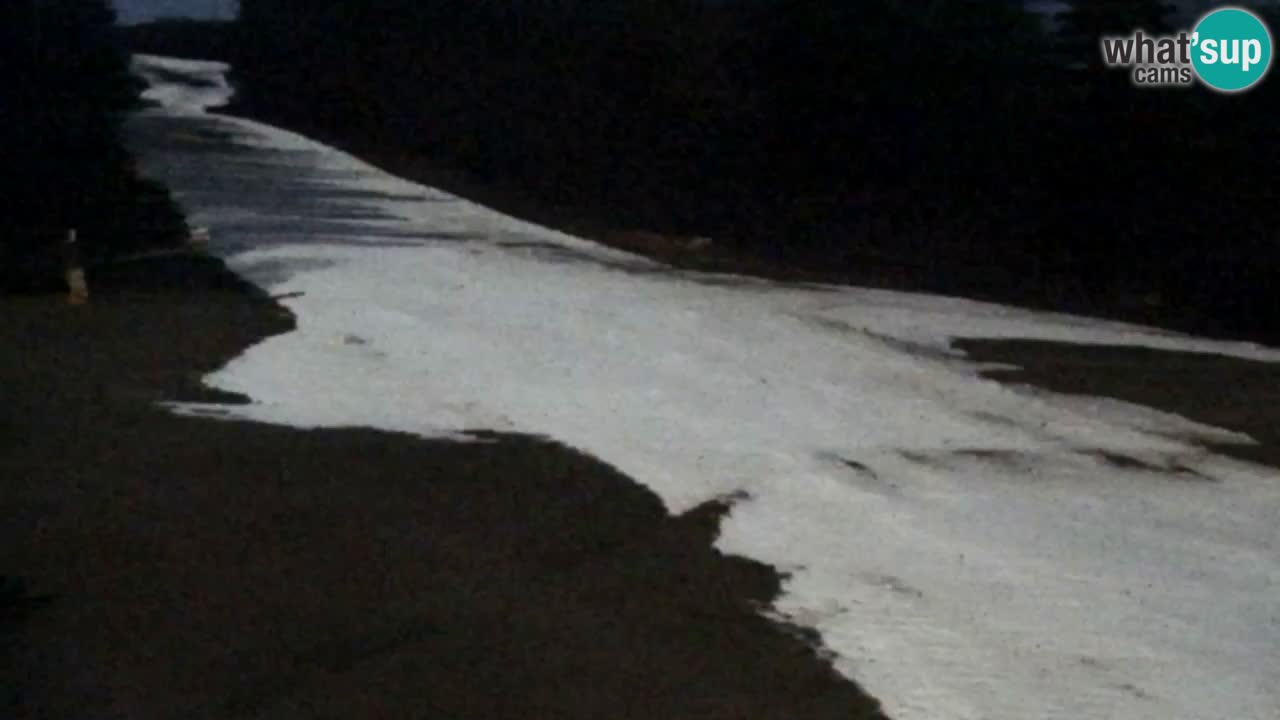 Webcam Pohorje Trikotna Jasa | Poštela