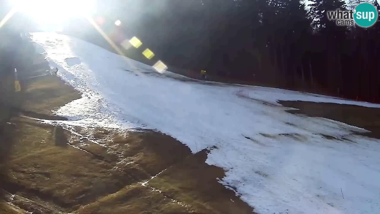 Web Camera Pohorje Trikotna Jasa | Poštela