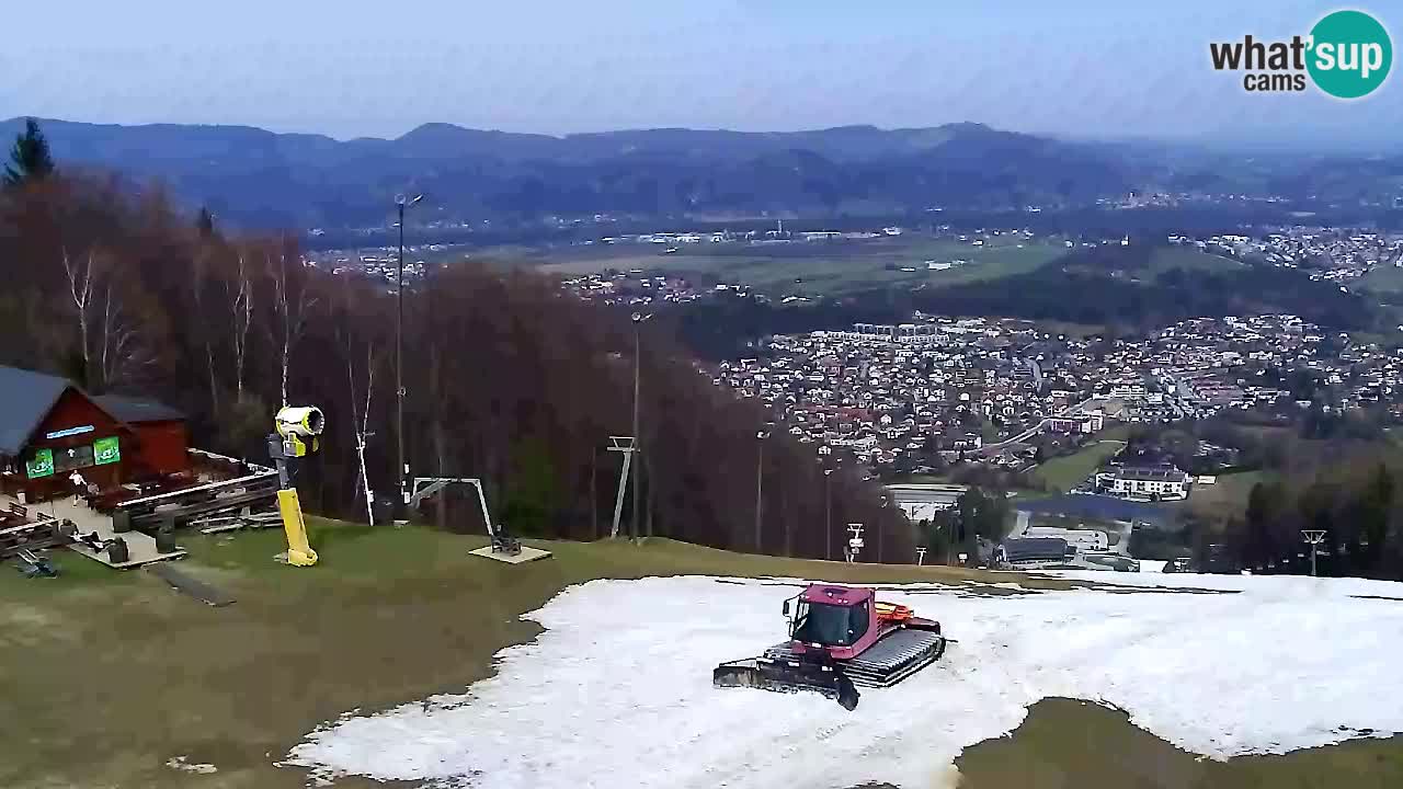 Webcam Pohorje Trikotna Jasa | Poštela