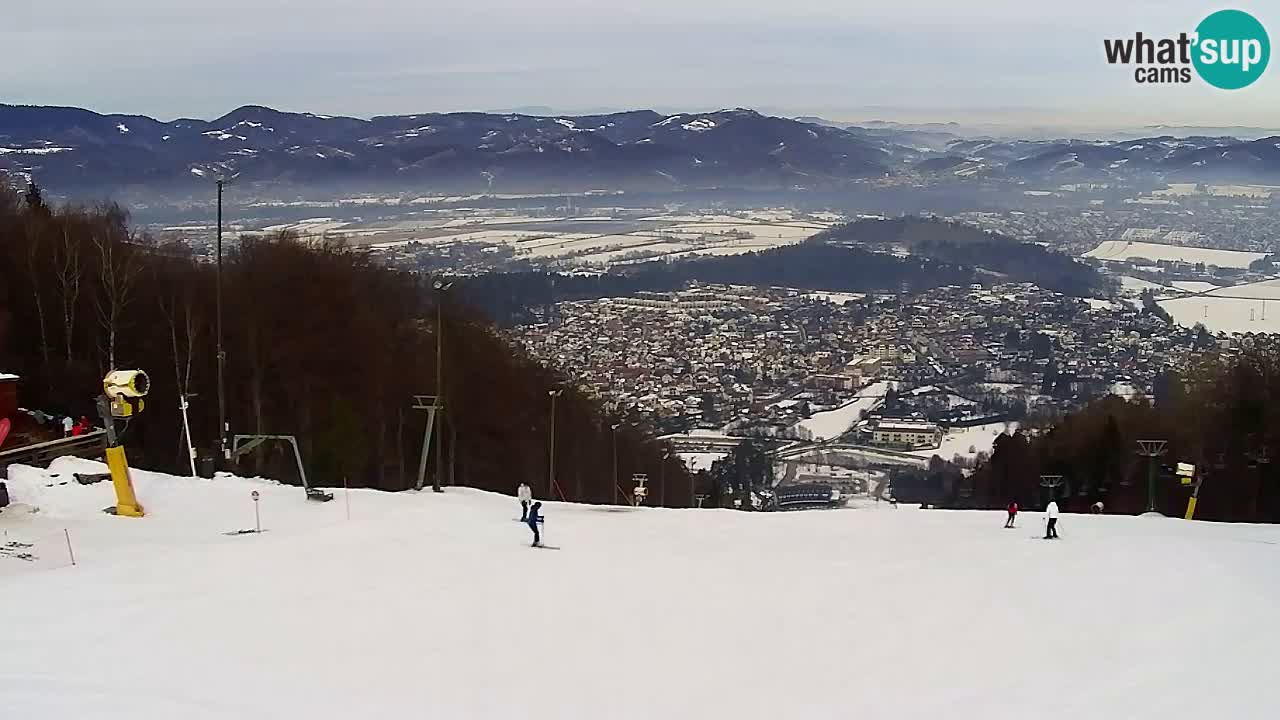Webcam Pohorje Trikotna Jasa | Poštela