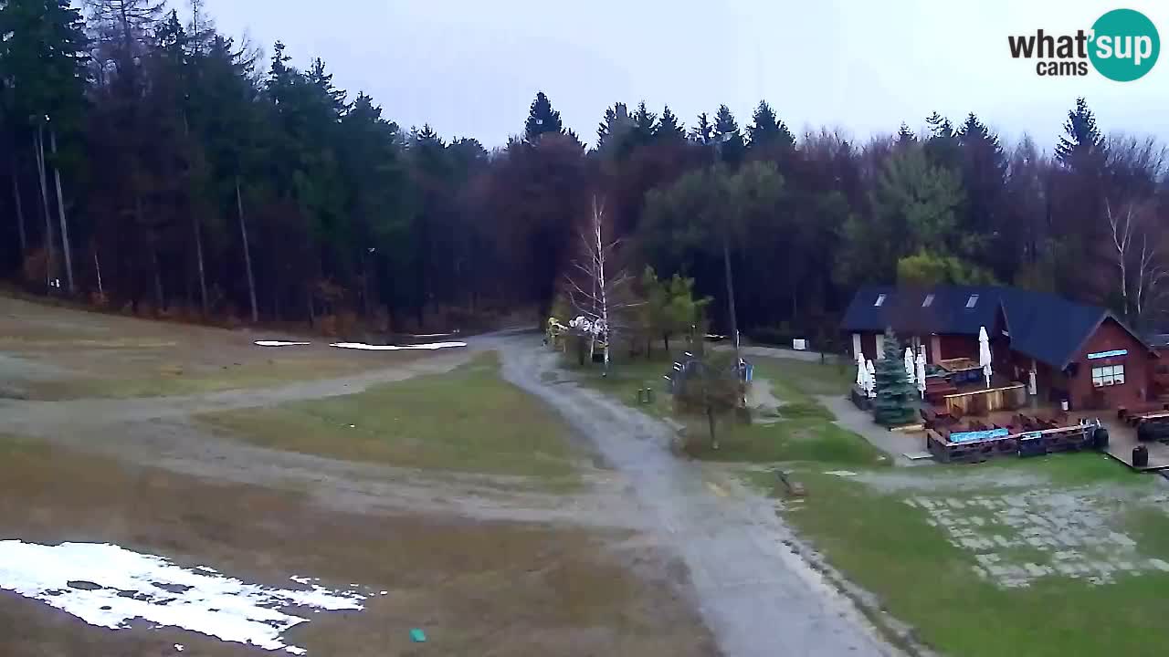 Webcam Pohorje Trikotna Jasa | Poštela
